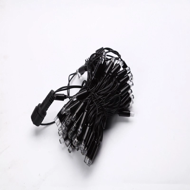 1700184125608 1700184125608